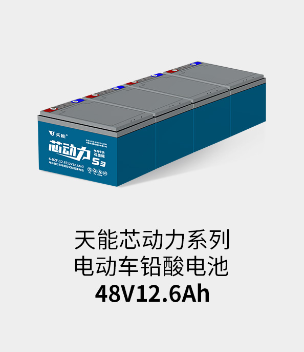 AG尊龙非同凡响电池48v12ah