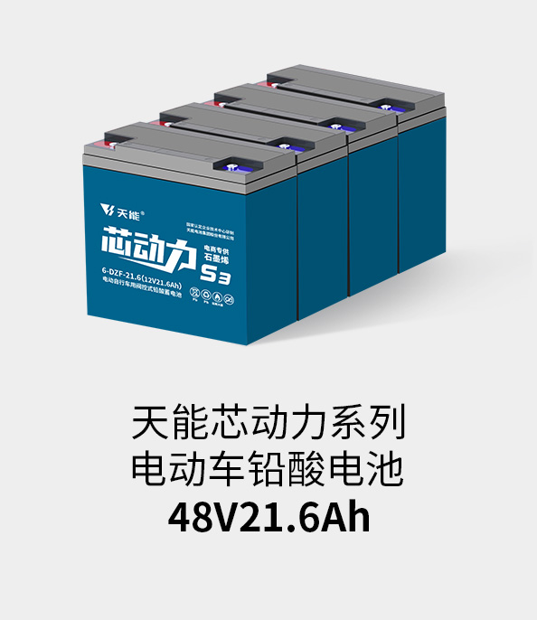 AG尊龙非同凡响电池48v20ah