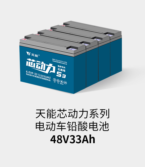 AG尊龙非同凡响电池48v32ah