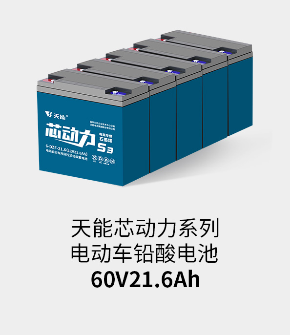 AG尊龙非同凡响电池60v20ah