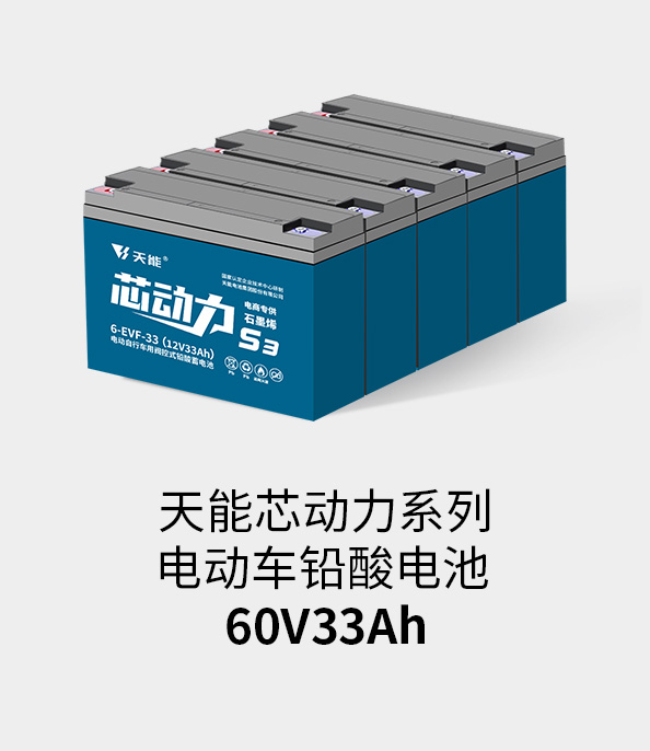 AG尊龙非同凡响电池60v33ah