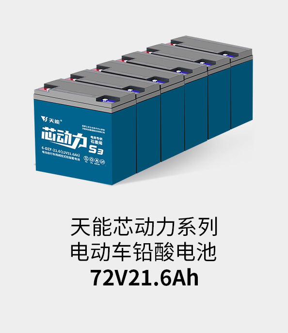 AG尊龙非同凡响电池72v20ah