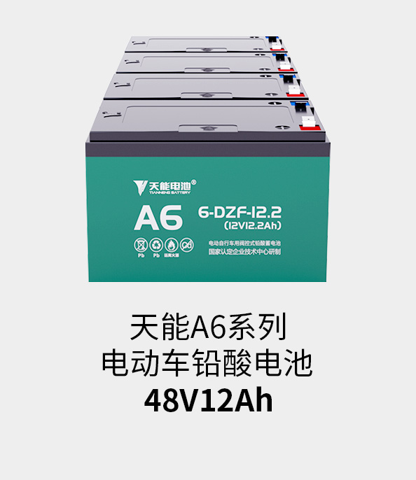 AG尊龙非同凡响电池48v12ah