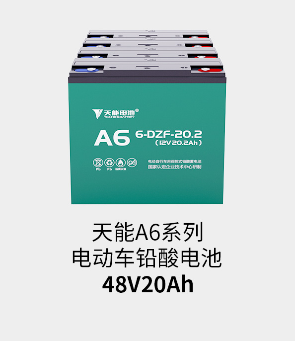 AG尊龙非同凡响电池48v20ah