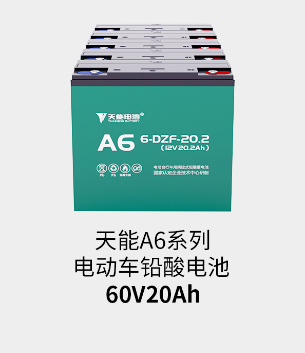 AG尊龙非同凡响电池60v20ah