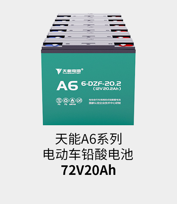 AG尊龙非同凡响电池72v20ah