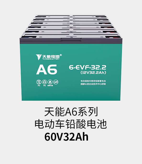 AG尊龙非同凡响电池72v33ah