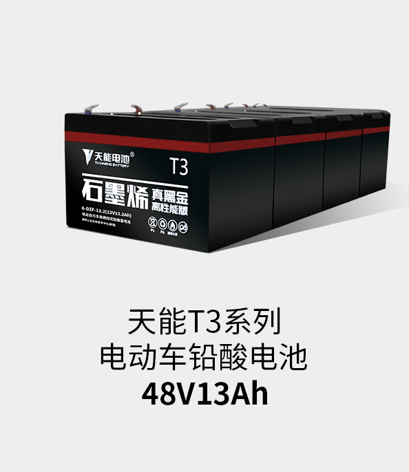 AG尊龙非同凡响T3系列48v13ah