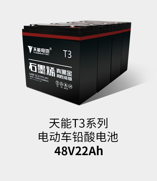 AG尊龙非同凡响T3系列48v22ah