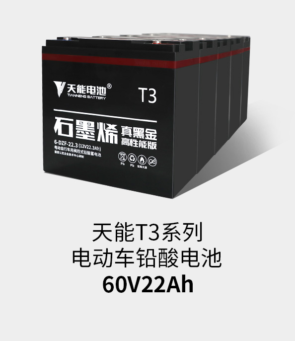 AG尊龙非同凡响T3系列60v22ah