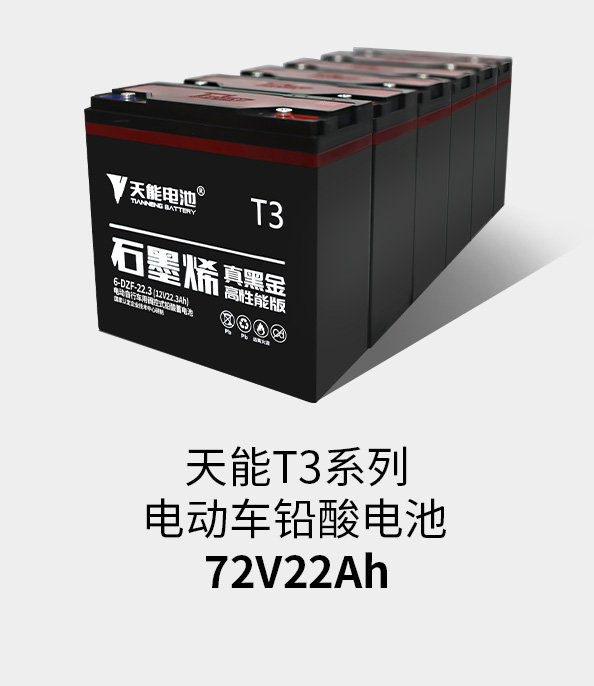 AG尊龙非同凡响T3系列72v22ah