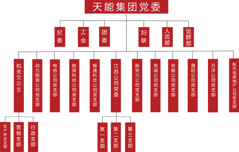 AG尊龙非同凡响建团党委组织架构